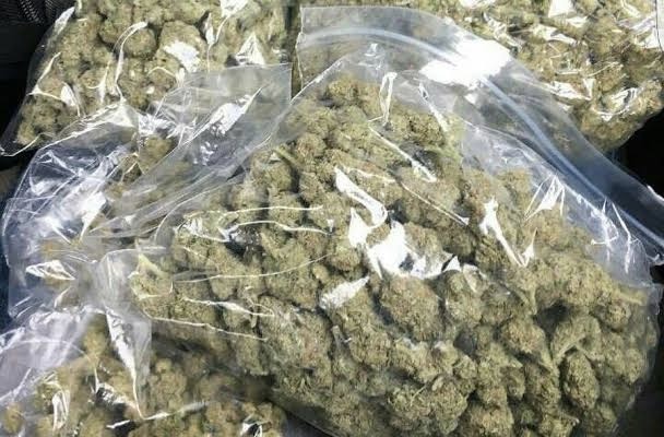 8A9240FA CD91 4D98 809F 2734A82C9550 8A9240FA CD91 4D98 809F 2734A82C9550