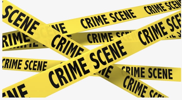 DE336458 1C0D 4C11 98CA D60A636E174E 1 DE336458 1C0D 4C11 98CA D60A636E174E 1