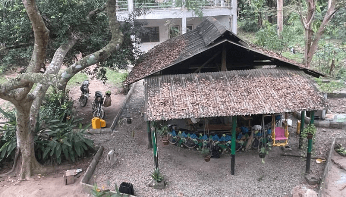 Emerald Forest Emerald Forest