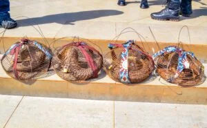 IMG 20260213 WA0043 1 300x185 1 IMG 20260213 WA0043 1 300x185 1