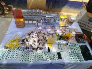 IMG 20260217 WA0083 300x225 1 IMG 20260217 WA0083 300x225 1