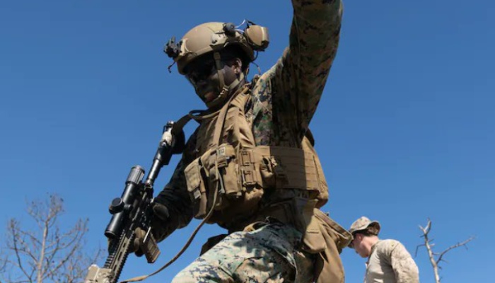 MixCollage 13 Feb 2026 11 40 AM 8838 MixCollage 13 Feb 2026 11 40 AM 8838