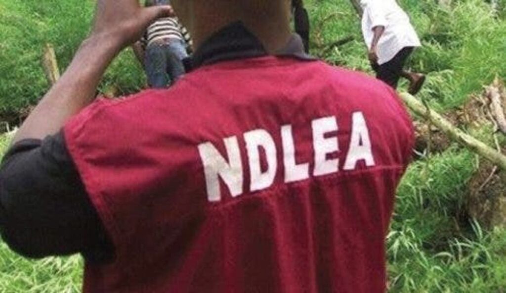 NDLEA NDLEA