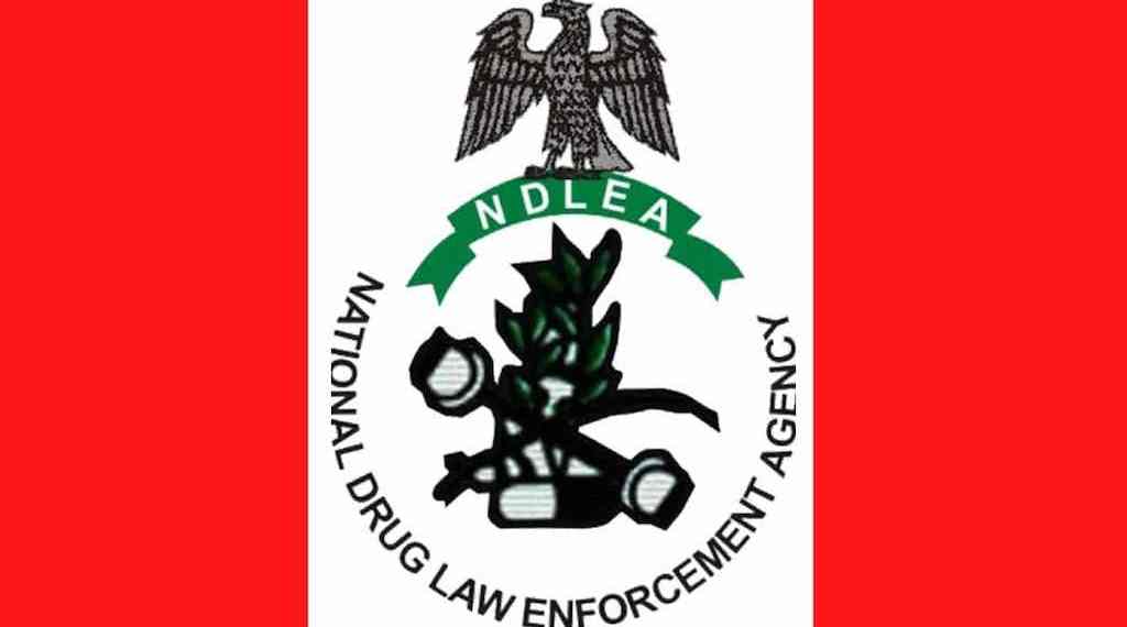 NDLEA logo NDLEA logo