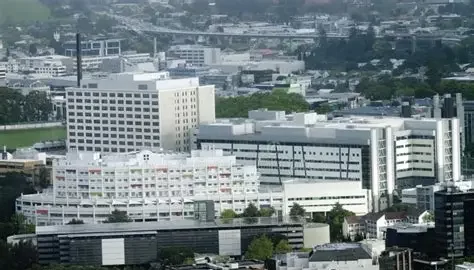 OIP 49 e1771934780490 OIP 49 e1771934780490