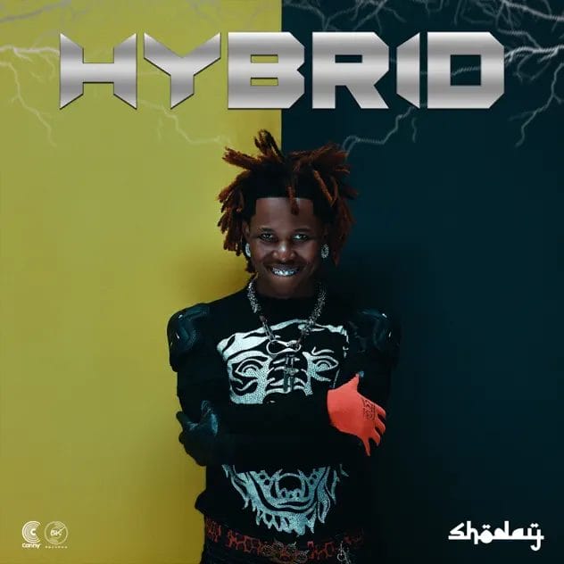 Shoday HYBRID Shoday HYBRID