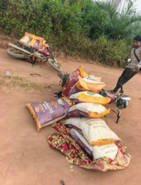 Whatsapp Image 2026 02 01 At 9.03.33 Am Whatsapp Image 2026 02 01 At 9.03.33 Am