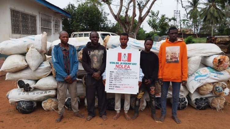 WhatsApp Image 2026 02 15 at 1.00.24 PM WhatsApp Image 2026 02 15 at 1.00.24 PM