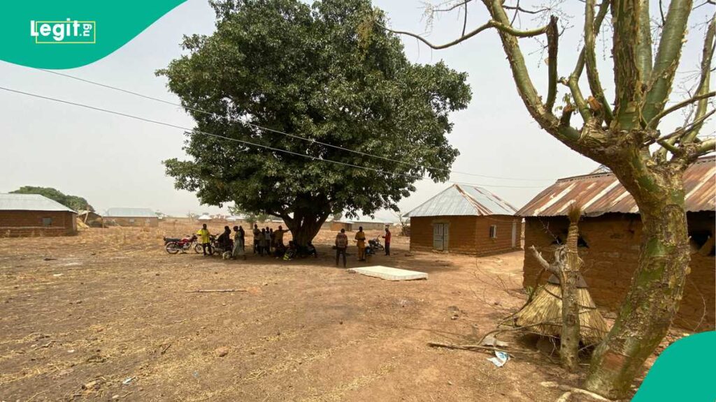 d797a01616d15b9a d797a01616d15b9a