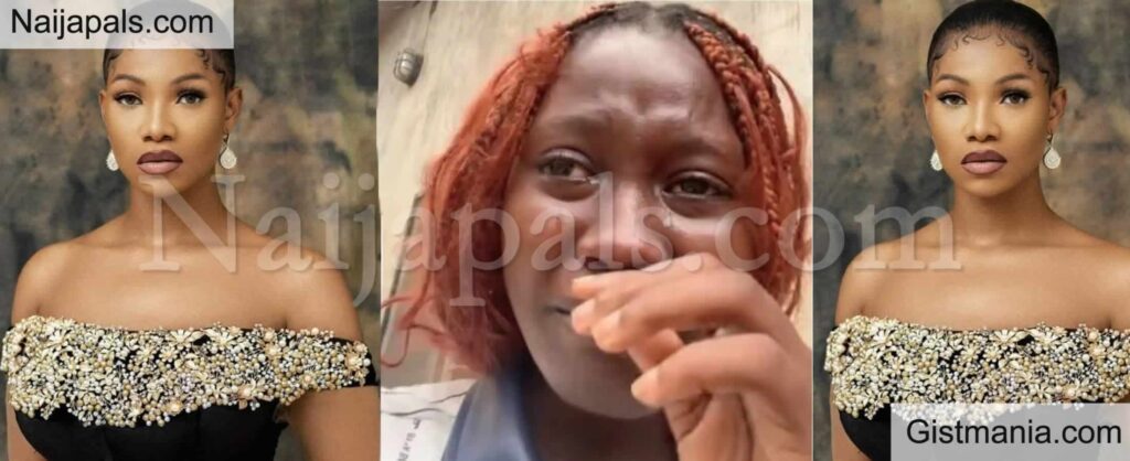 tacha mirabel tacha mirabel