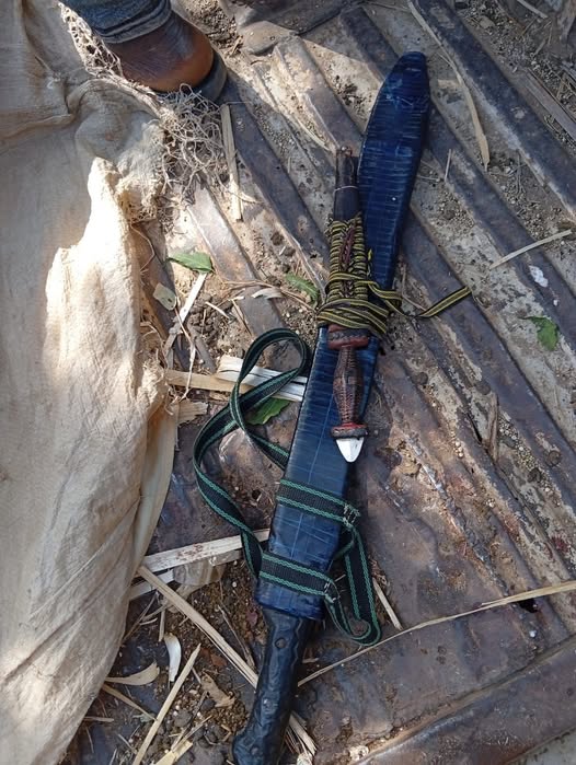 Yobe 1770018523 Yobe 1770018523