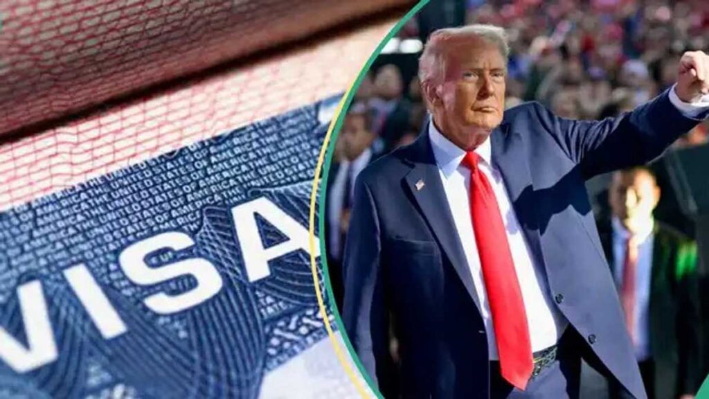 0860232Cfa897B61 0860232Cfa897B61