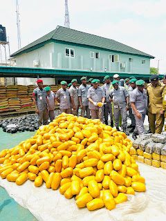 1774555311732659 0 1 1774555311732659 0 1