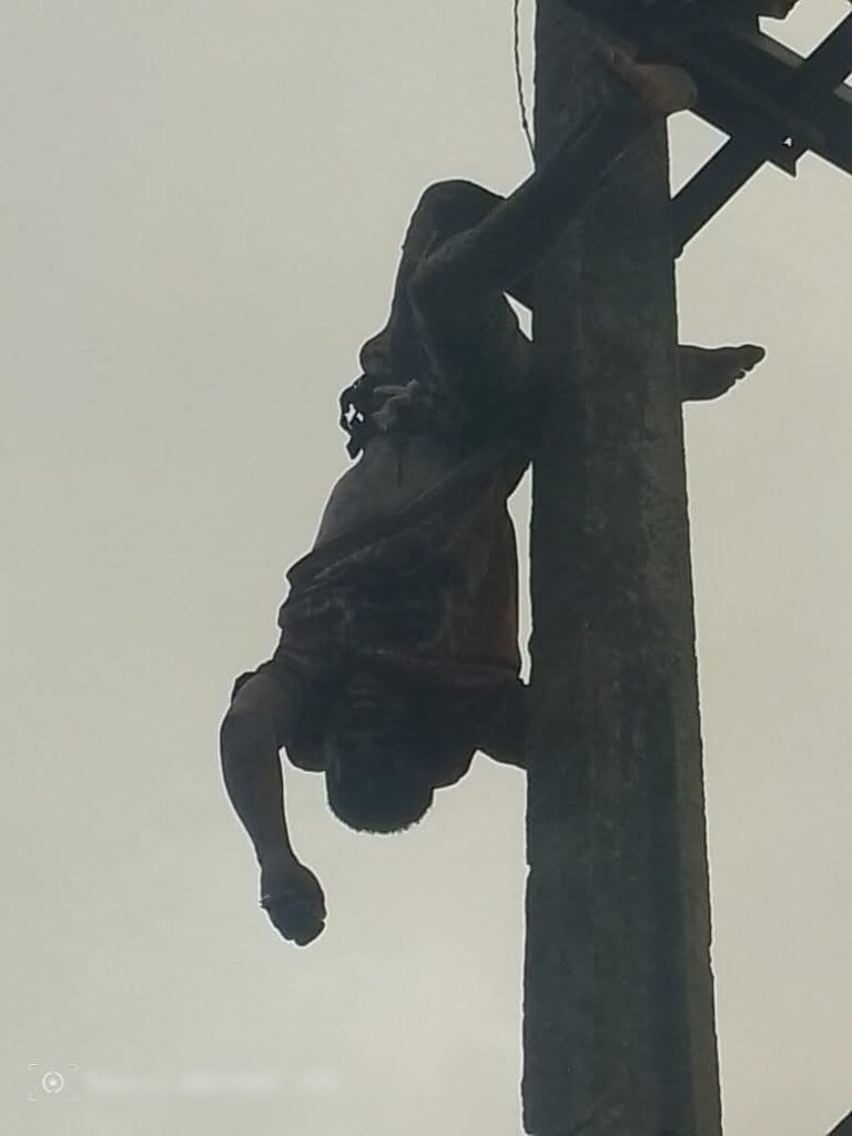 48665 1772393951 48665 1772393951