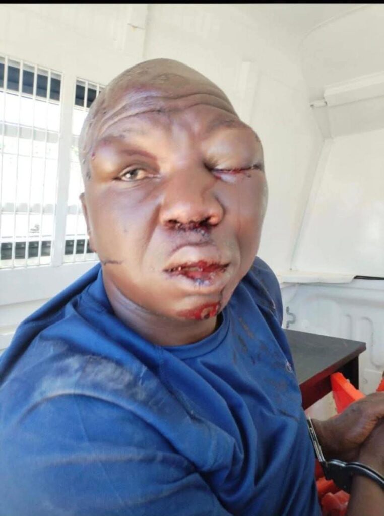 49886 1773234169 49886 1773234169