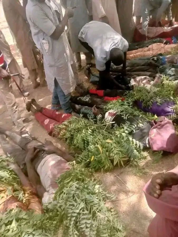 50538 1773781374 50538 1773781374