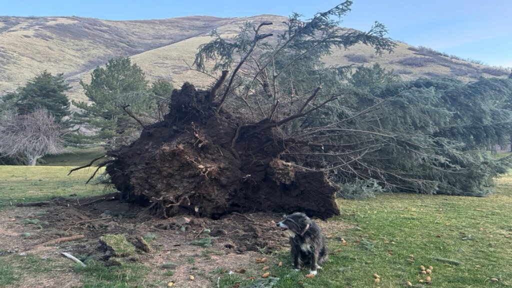 89180125007 Utah 1 89180125007 Utah 1