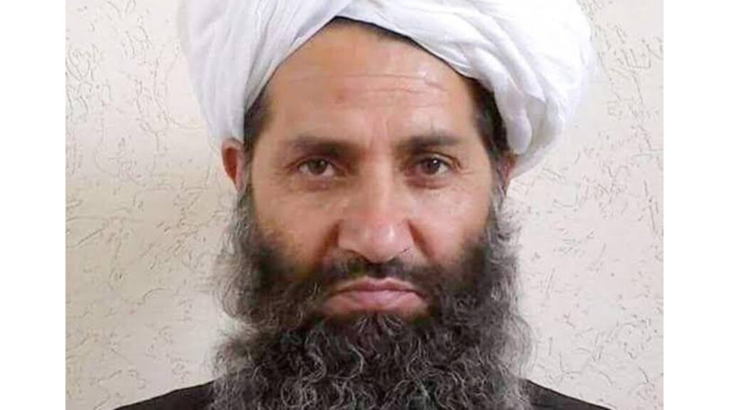 Ccdb3028 7C28 4Bf6 Ab5C 54115Bc2Dc8E Scaled 1 Ccdb3028 7C28 4Bf6 Ab5C 54115Bc2Dc8E Scaled 1