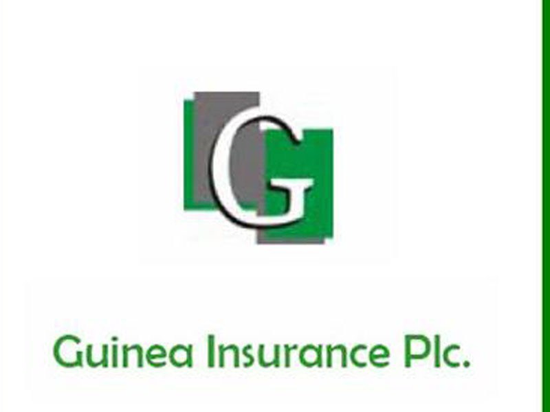 Guinea Insurance Guinea Insurance