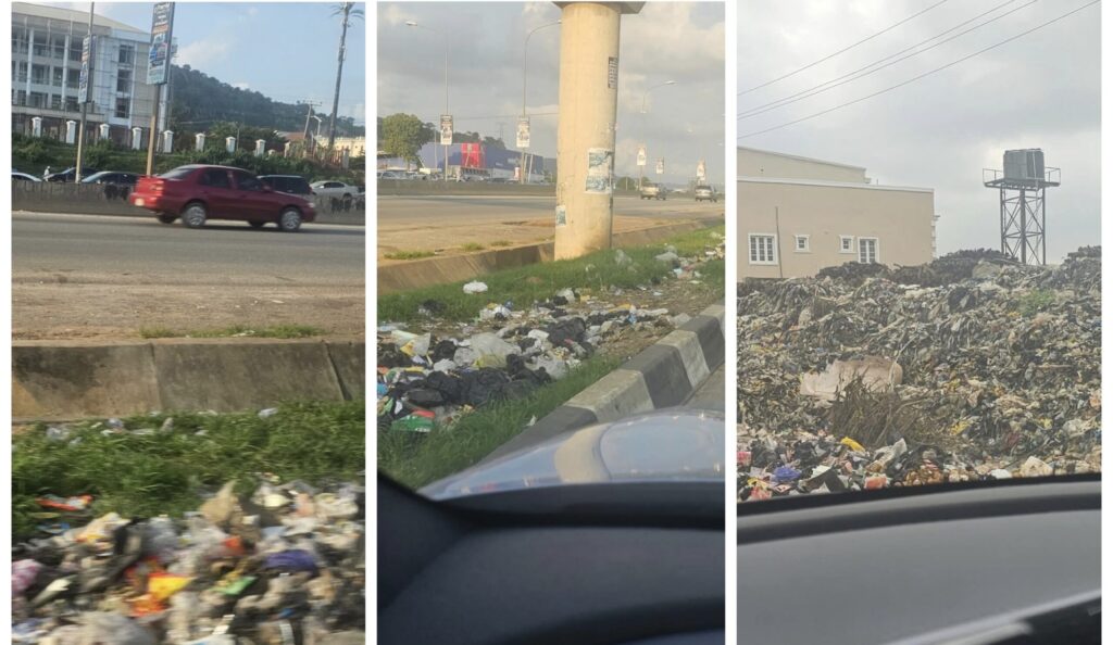 Img 6606 Scaled 4 Img 6606 Scaled 4