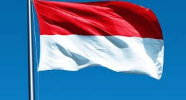 Indonesian Flag Indonesian Flag