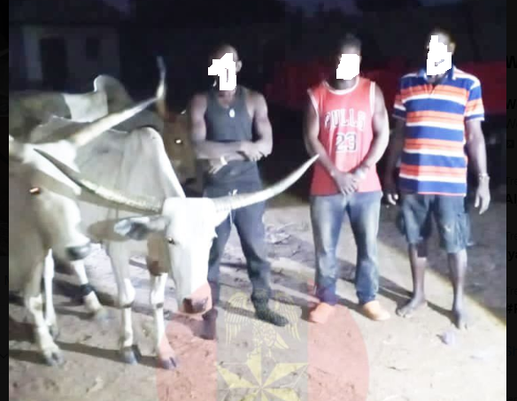 Screenshot 2026 03 08 094932 Screenshot 2026 03 08 094932