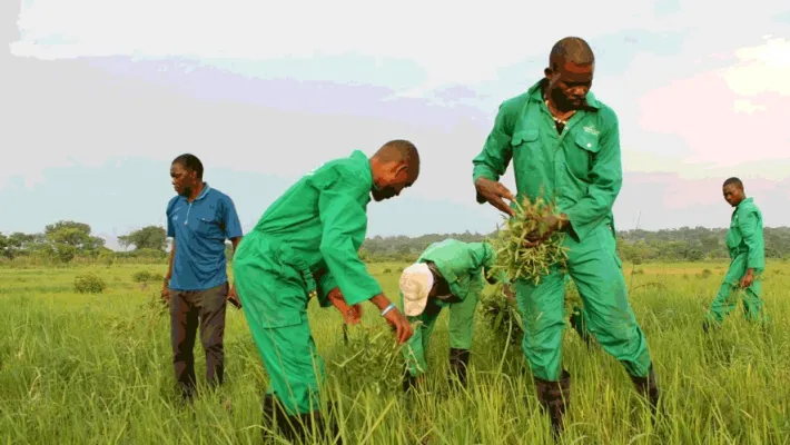 Untitled 1 Recovered Recovered Recovered Recovered Recovered Recovered Recovered Recovered 9 Untitled 1 Recovered Recovered Recovered Recovered Recovered Recovered Recovered Recovered 9