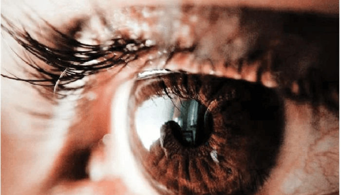 Untitled Design 2025 03 17T014547.051 3 Untitled Design 2025 03 17T014547.051 3