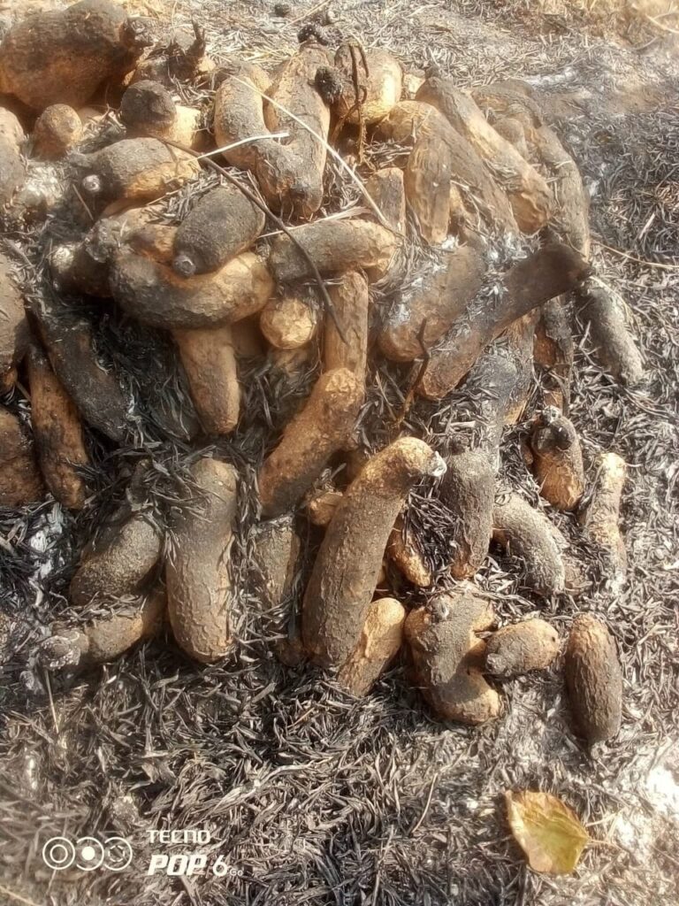 Whatsapp Image 2026 03 08 At 1.33.53 Pm Whatsapp Image 2026 03 08 At 1.33.53 Pm