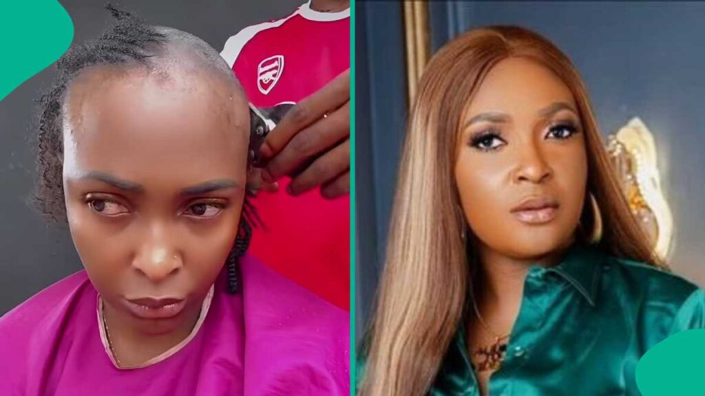 B19Cfe66748Bda5C B19Cfe66748Bda5C