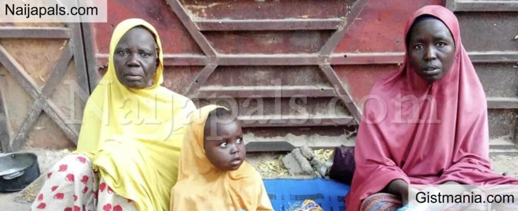 Boko Escapee Boko Escapee