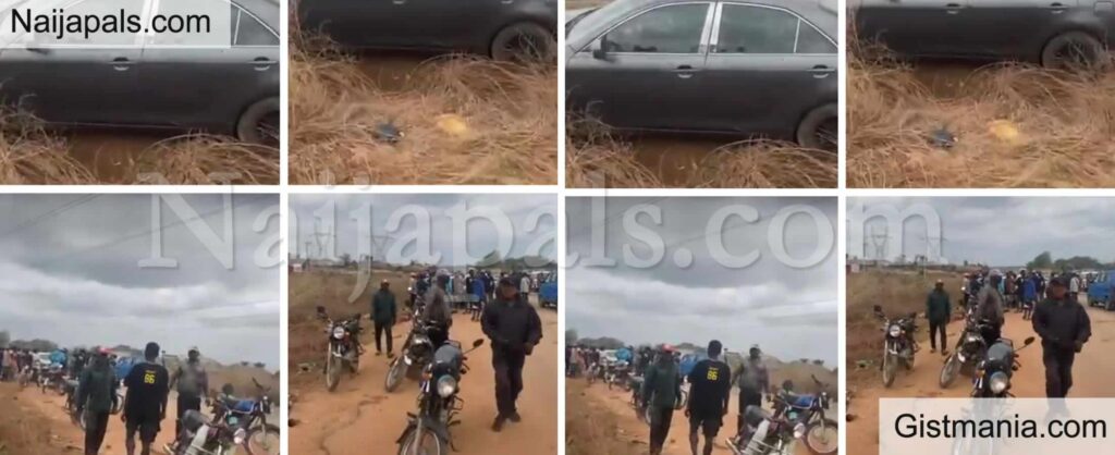 Customs Dead Customs Dead