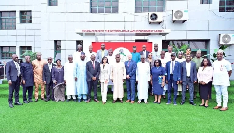 D1F2A340 D39C 4755 A826 0B660Ce40B79 768X512 1 E1774989643580 D1F2A340 D39C 4755 A826 0B660Ce40B79 768X512 1 E1774989643580