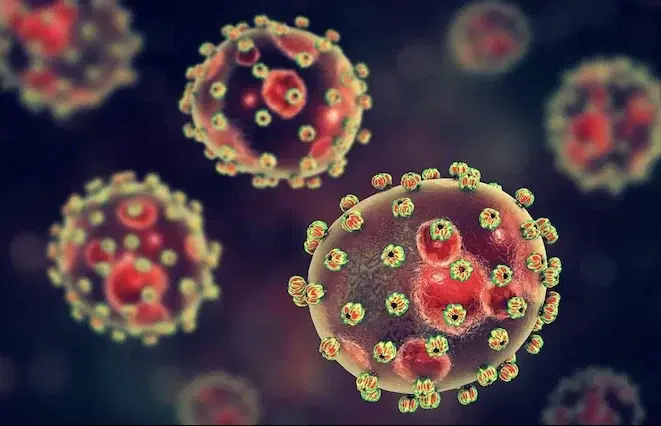 Lassa Fever E1732045232788 Lassa Fever E1732045232788