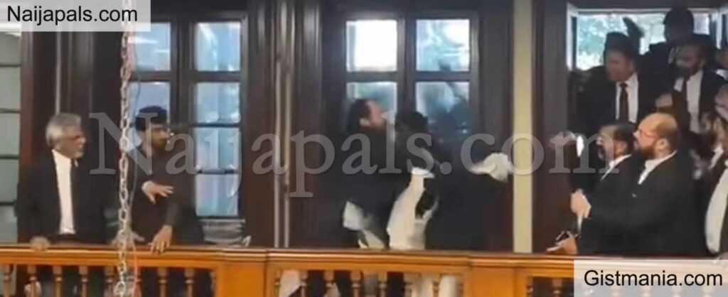 Lawyers Fight Lawyers Fight