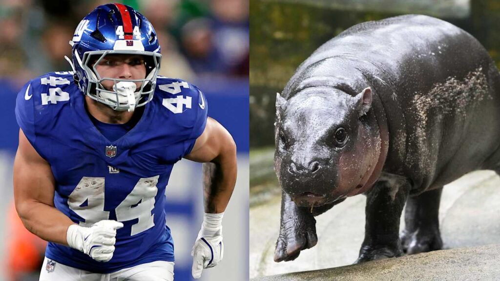 Xebm5Eyjf66Wfs2Gm143 Xebm5Eyjf66Wfs2Gm143