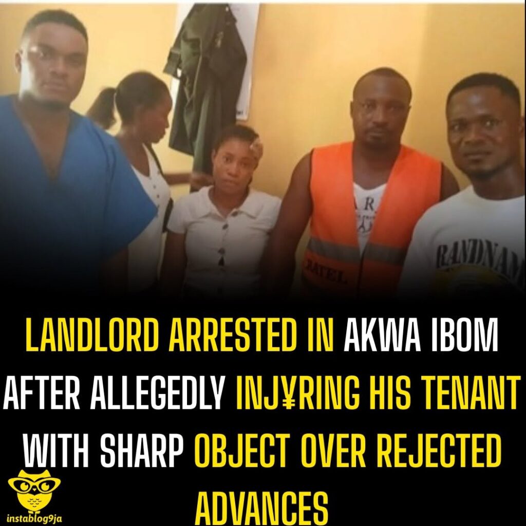 658608305 18585121543011527 7427380277178496006 N 658608305 18585121543011527 7427380277178496006 N