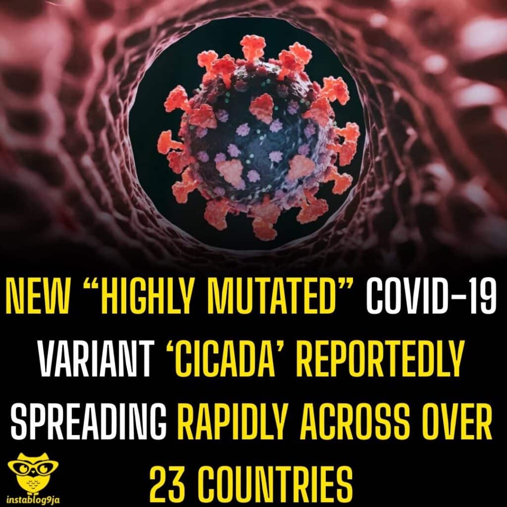 659257931 18585115042011527 1371540927476482212 N 659257931 18585115042011527 1371540927476482212 N