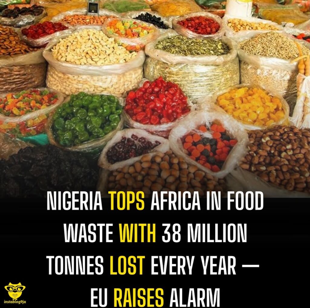 659655239 18586182565011527 9162168086541793621 N 659655239 18586182565011527 9162168086541793621 N