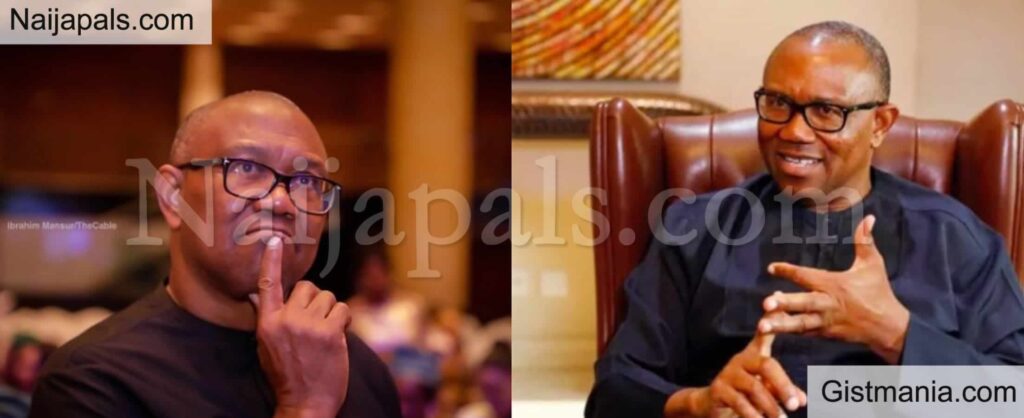 Peterobi Election Peterobi Election