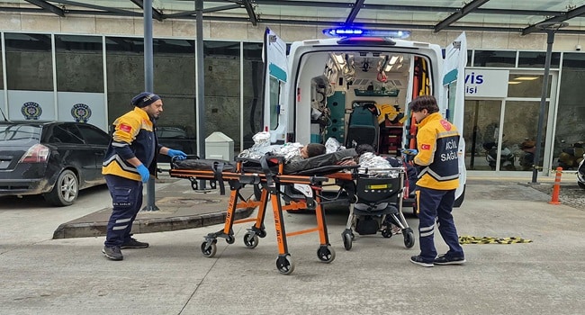 Turkeymigrationaccident Turkeymigrationaccident