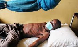 Untitled 51 Untitled 51