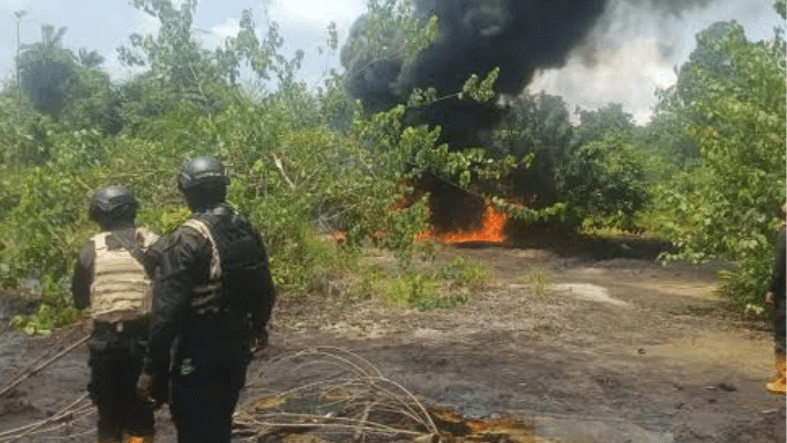 Untitled Design 1 71 Untitled Design 1 71