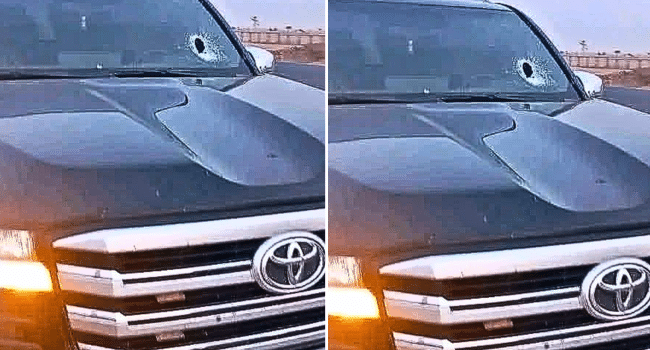 Untitled Design Untitled Design