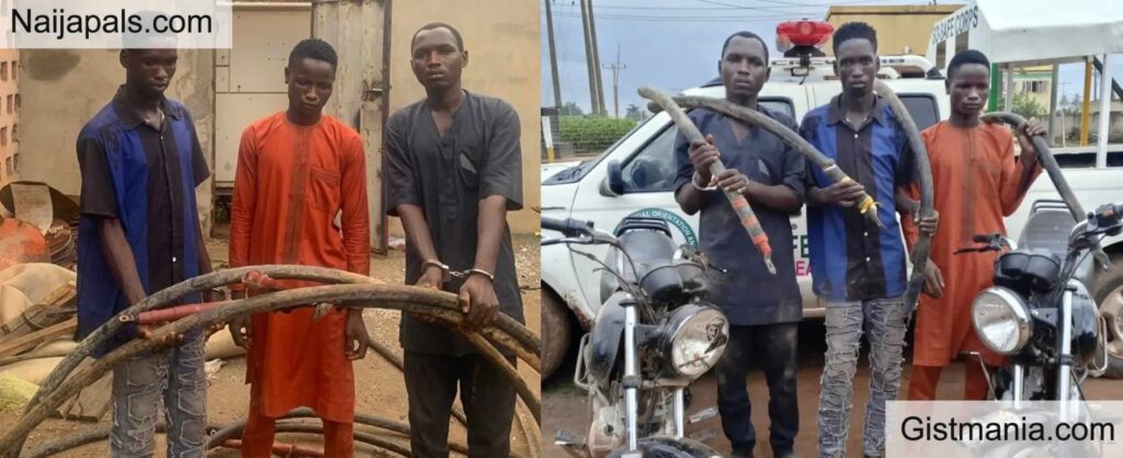 Cable Vandals Cable Vandals