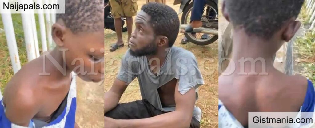 Girl Assault Girl Assault