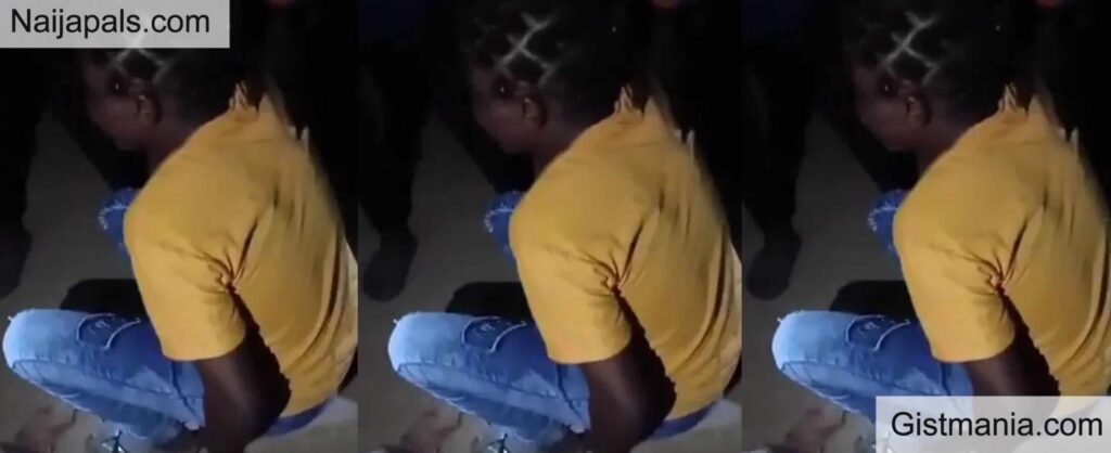 Landlord Girl Landlord Girl