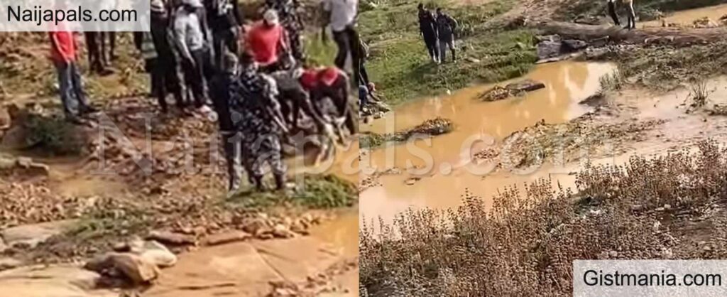 Ricer Crowd Ricer Crowd