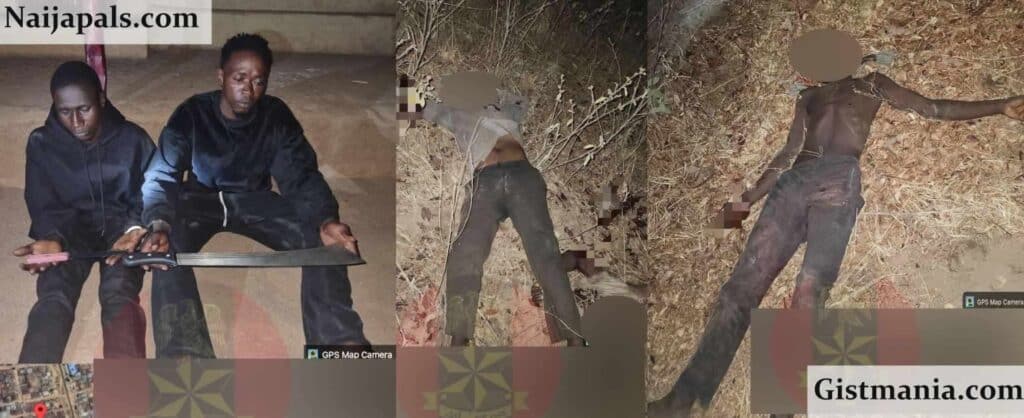 Terrorists Neutralized Terrorists Neutralized